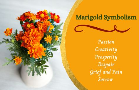 Marigolds are among the most popular flowers, especially in certain regions such as South America. Here's what they symbolize. Marigold Symbolism, Wedding Meaning, October Birth Flowers, Flower Symbol, India Wedding, Most Popular Flowers, Marigold Flower, Dream Meanings, Flower Meanings