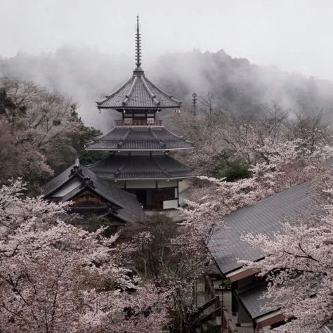 Pretty Landscapes, Japan Aesthetic, Aesthetic Japan, Japanese Aesthetic, Pretty Photos, Blossom Trees, Aesthetic Images, Nature Aesthetic, Pretty Places