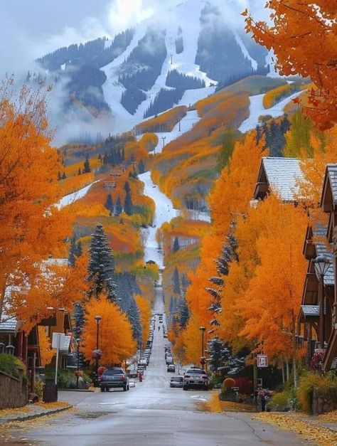 Aspen Colorado Winter, Colorado Aesthetic, Colorado Fall, Leaf Peeping, Beautiful Landscape Photography, Fine Art Landscape Photography, Winter Images, Aspen Colorado, Autumn Scenery