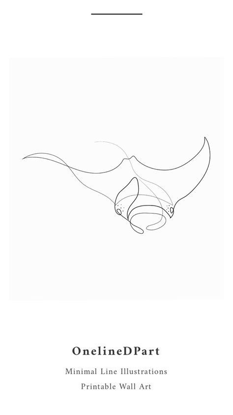 One Line Sea Animal Tattoo, One Line Sea Animals, One Line Stingray, One Line Drawing Sea Animals, One Line Whale, Minimalist Jellyfish, One Continuous Line Tattoo, Sea Creature Line Art, Line Art Sea Animals