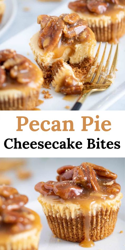 Delicious Pecan Pie Cheesecake Bites Mini Pecan Pie Cheesecake Recipe, Mini Pecan Cheesecake Bites, Pecan Pie Cheesecake Topping, Pecan Graham Cracker Crust, Pecan Pie Mini Cheesecakes, Cheesecake Recipes Bites, Pecan Pie Cheesecake Bites, Southern Cheesecake, Mini Pecan Pie Cheesecakes