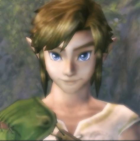 Tp Link Icon, Twilight Princess Link Pfp, Twilight Princess Pfp, Zelda Profile Picture, Twilight Princess Icon, Link Icon Zelda, Link Pfp, Twilight Princess Link, Link Icon