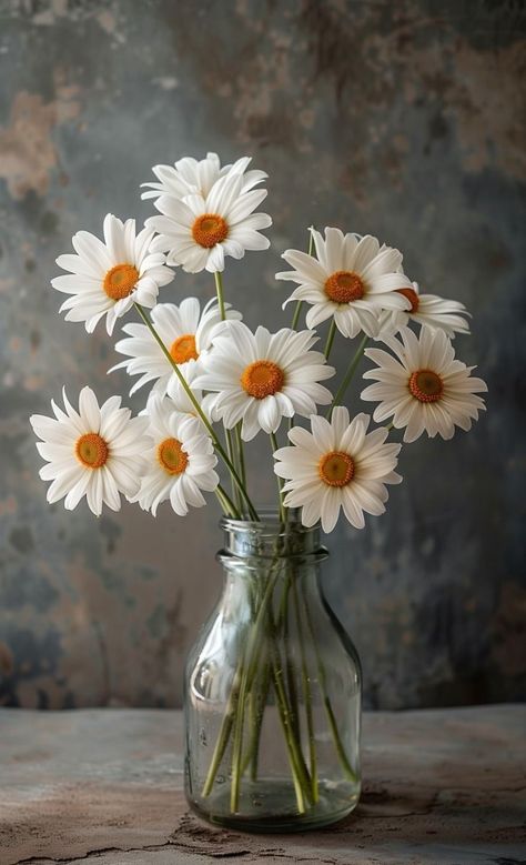 Vase Of Daisies, Daisies In Vase, Daisies In A Vase, Flower Crafts Kids, City Life Photography, Flower Pot Design, Vintage Flowers Wallpaper, Flowers In Jars, Flower Painting Canvas