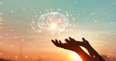 Due to deeper understandings from neuroscience, we know self-applied touch is a powerful therapeutic tool. Read on to learn how to integrate Havening Touch into your healing work today. #Havening #PESI #Therapytools Touch Therapy, To Learn, Brain