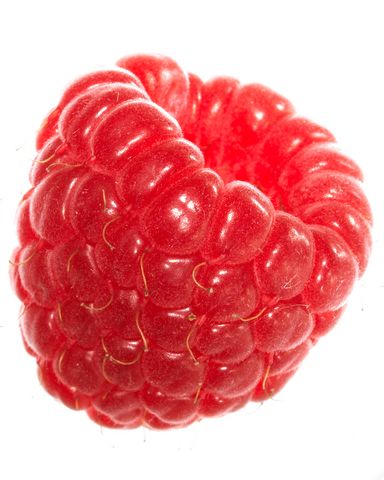 Raspberry Images, Fruits Photos, Rainbow Fruit, Raspberry Fruit, Fruit Photography, Tea Brands, Red Fruit, Print Collage, Food Drawing