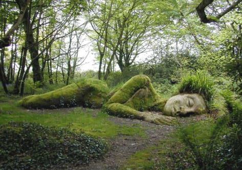 Sleeping giant at The Lost Gardens of Heligan Cornwall UK Lost Gardens Of Heligan, Lost Garden, Moss Covered, Land Art, Somerset, Hampshire, Secret Garden, Botanical Gardens, Cornwall