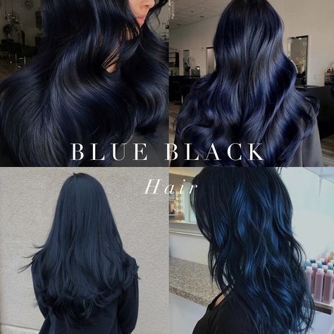 Blue black hair options for cool toned color seasons. True Winter Color Palette Hair, Dark Blue Black Hair Color, Hair Colour For Medium Skin Tone, Dark Winter Hair Color Ideas, Cool Tone Hair Color Ideas, Hair Color For Pale Skin And Blue Eyes, Dark Skin Hair Color, Cool Tone Aesthetic, Dark Winter Hair Color