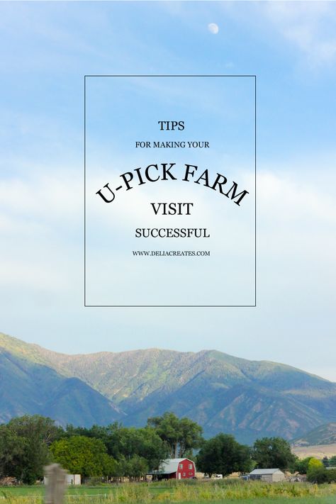 Tips for making your U-Pick Farm visit successful - Delia Creates Agritourism Farm Design, U Pick Farm Ideas, U Pick Farm, You Pick Flower Farm Layout, Frontier Living, Homestead Business, Agritourism Farms, Farm Tourism, Farm Tips