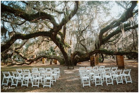 Wedding Ceremony Photography by Tonya Beaver; Jacksonville Wedding Photography; Ponte Vedra Wedding Photography; St Augustine Wedding Photography; Fernandina Wedding Photography; Live Oak Wedding Photography; Amelia Island Wedding Photography; Gainesville Wedding Photography; Fort George Wedding Photography; TPC Wedding Photography; Church Wedding; Walking Down the Aisle; Outdoor Wedding; Emotional Wedding Photos; #tonyabeaverphotography #Firstlook #Firstkiss #Ringbearer #Flowergirl #ido Cumberland Island Wedding, Wedding Walking Down The Aisle, Fort George, Ceremony Photography, Cumberland Island, Jacksonville Wedding, Georgia Wedding Venues, Wooded Landscaping, Emotional Wedding