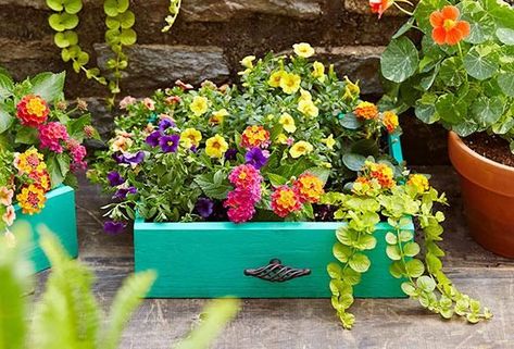 8 ways to repurpose old drawers into whimsical planters for your garden Drawer Planters, Garden Planters Diy, Creative Planter, Upcycle Garden, Green Diy, Old Drawers, Diy Planters, Printable Coupons, Flower Planters