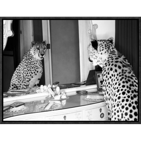 Global Gallery 'Cheetah Looking in Mirror' by Emma Rian Framed Photographic Print on Canvas | Wayfair Looking In Mirror, Unframed Art, Paper Print, My New Room, Modern Frames, Art Gallery Wall, Canvas Artwork, Framed Art Prints, Photographic Print