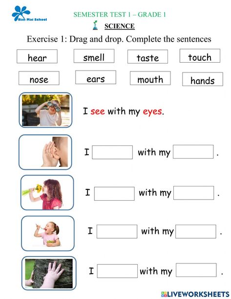 Grade 1 Science Worksheet, My Body Worksheet Grade 1, Grade One Science Worksheets, Science Worksheets Grade 2, Grade 2 Science Worksheets, Science Worksheets For Grade 1, Science Grade 1, Year 1 Science, Grade 3 Science