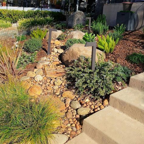 10 Dry Creek Bed Landscaping Ideas Dry Creek Bed Landscape, Creek Bed Landscaping, Boulder Landscape, Bed Landscaping Ideas, Dry Stream, Dog Friendly Garden, Gravel Landscaping, Dry Creek Bed, Sloped Yard