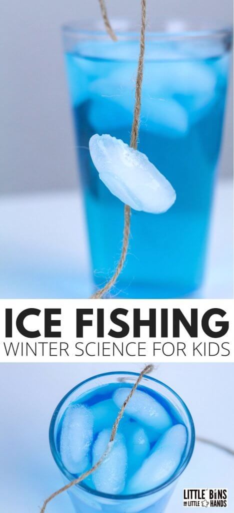 Winter Science Projects, Winter Science Activities, Winter Science Experiments, Science Experiment For Kids, Winter Science, Experiment For Kids, Experiments Kids, Science Experiments For Preschoolers, Winter Activities For Kids