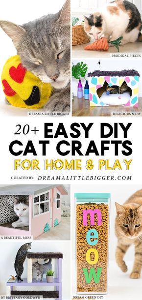 Diy Cat Crafts, Diy Jouet Pour Chat, Pet Diy Projects, Cats Crafts, Cat Diy Crafts, Chat Diy, Kat Diy, Homemade Cat Toys, Diy Pet Toys