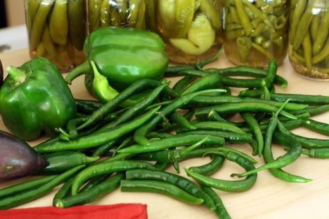 How To Pickle Cucumbers, Pickle Peppers, How To Pickle Peppers, Pickle Cucumbers, Cayenne Pepper Recipes, Pepper Varieties, Canning Peppers, Make Pickles, How To Make Pickles