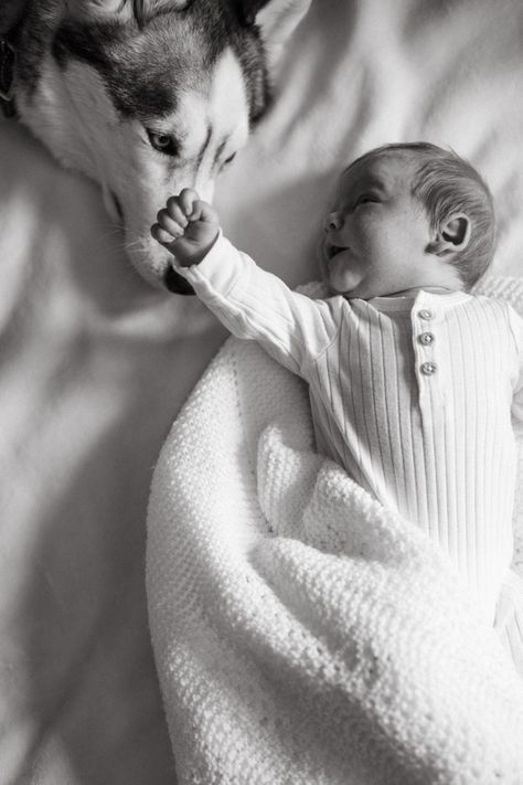 #baby #babyboy #babyphotography #photography #newborn #newbornphotography #newbornphotos Newborn Dog Photoshoot, Dog Newborn Pictures, Newborn Home Photoshoot With Dog, In Home Newborn Session Lifestyle With Dog, Newborn Pics With Dogs, Newborn Shoot With Dog, Lifestyle Newborn Photography With Dog, Dog And Newborn Pictures, Boho Newborn Photos