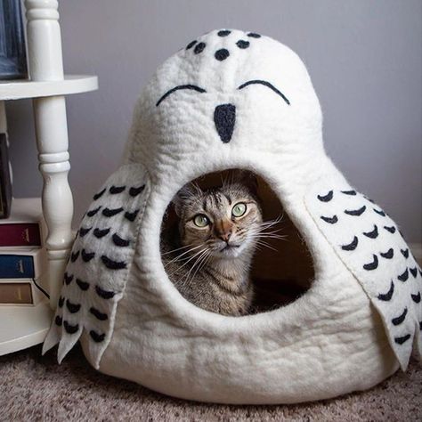 GIVEAWAY ALERT - Cat Cave Snow Owl #Cats #Giveaway #SnowOwl One of our cat cave favorite brands is Dharma Dog Karma Cat. We love these feline nests because they are handmade with lanolin oil. Owl Cat, Snow Owl, Dog Beds For Small Dogs, Cat Cave, Owl Pet, Hoot Owl, Wood Cat, Felt Cat, Snowy Owl