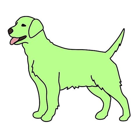 Key Lime Green Dog Key Lime Green Dog Taylor Swift, Green Dog Wallpaper, Lime Green Background Aesthetic, Lime Green Artwork, Golden Retriever Green Aesthetic, Key Lime Green Dog, Dogs Are The Best, Swift Bracelets, Midnight Red