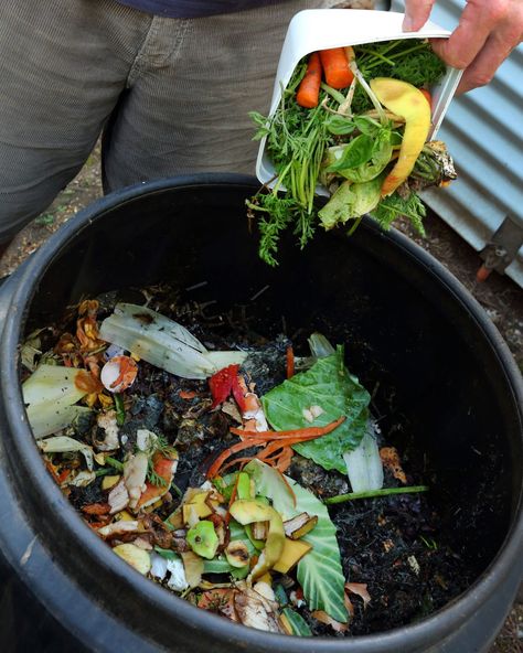 compost-getty-0320 Best Compost Bin, Compost Bin Diy, Growing Organic Vegetables, Diy Compost, Luxury Garden Furniture, How To Make Compost, Compost Tea, Composting At Home, Easy Build