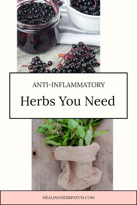 Are you curious about the top anti-inflammatory herbs that can freshen up your wellness routine? Dive right in as we shine a spotlight on 10 fantastic herbs known for their powerful anti-inflammatory properties. From turmeric's vibrant yellow color to the surprisingly effective ginger, discover natural remedies that support overall health. Plus, learn how these herbs can help ease discomfort and elevate your daily feel-good vibes. Let's transform your approach to health naturally with nature's best options for inflammation relief! Herbs To Heal, Elderberry Tea, Seeds Benefits, Calendula Benefits, Health Plus, Menstrual Health, Boost Immunity, Holy Basil, Spice Mix