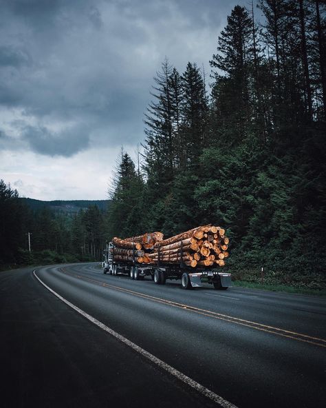 Logging Aesthetic, Log Truck, Logging Trucks, Wood Forest, Bachelor Pad, Country Side, Happy Labor Day, Labour Day, Trailer