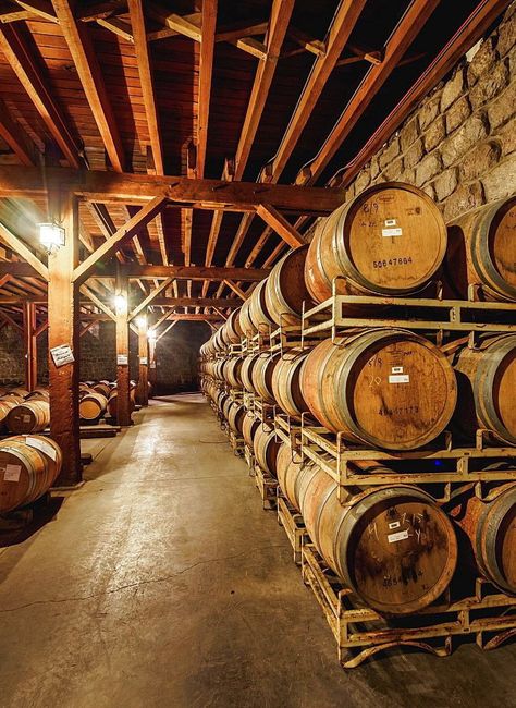 Wine Tanks, Wine Cave, Wine Barrel Furniture, Barrel Room, Wine Knowledge, Wine Tasting Room, Root Cellar, Wine Tourism, Wine Cellar Design