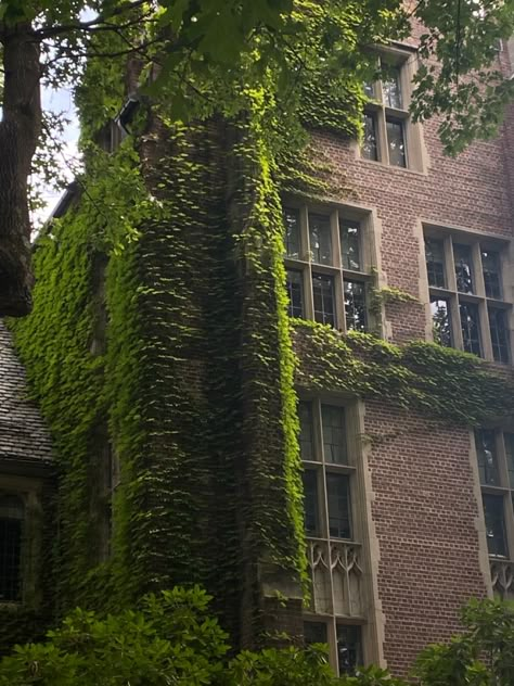 Wellesley College Aesthetic, Wellesley Aesthetic, College Gothic, Elif Batuman, Wizarding Schools, Henry Winter, Gothic Revival Architecture, Wellesley College, College Vision Board