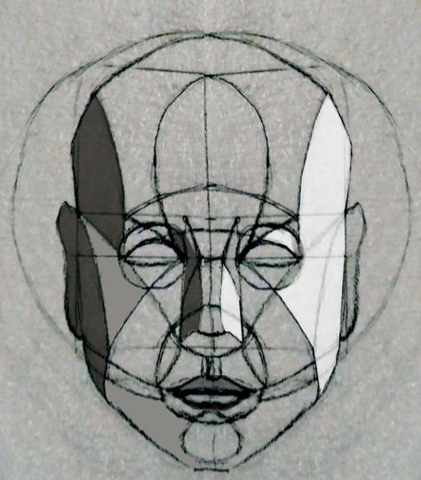 Riley Method, Reilly Head, Reilly Method, Drawing Methods, Drawing Method, Facial Structure, Head Drawing, Tutorials Drawing, Drawing Faces