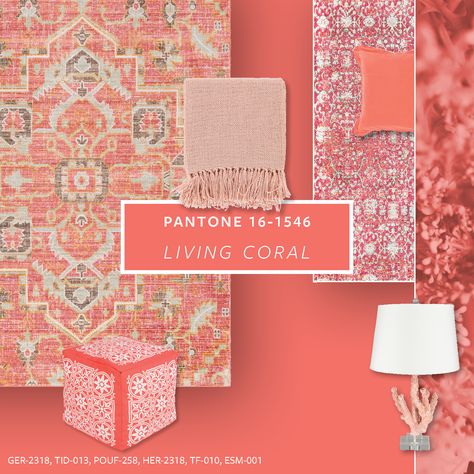 Winter Markets, Coral Accent Walls, Coral Living Rooms, Coral Home Decor, Coral Accessories, Affordable Furniture Stores, Painted Dining Table, High Point Furniture Market, Mellow Colors