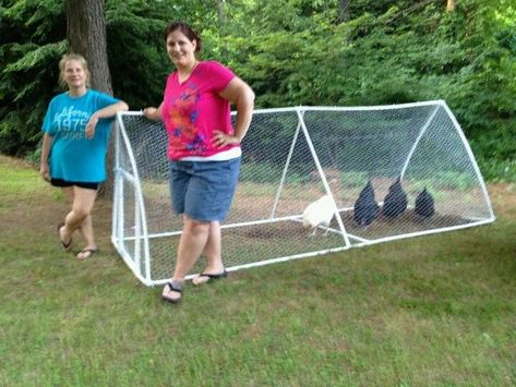 PVC Chicken Tractor Pvc Chicken Tractor, Urban Chicken Farming, Mobile Chicken Coop, Chicken Poop, Portable Chicken Coop, Chicken Tractors, Chicken Tractor, Best Chicken Coop, Raising Backyard Chickens