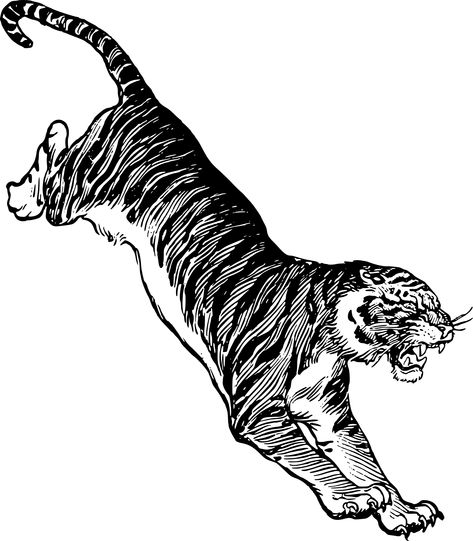 Jumping Tiger by @j4p4n, This tiger, with it's sharp teeth, doesn't look so friendly. I'm going to suppose it isn't Hobbes. , on @openclipart Jumping Tiger, Tiger Silhouette, Japanese Tiger Tattoo, Tiger Sketch, Big Cat Tattoo, Angry Tiger, Tiger Vector, Motif Jungle, P Tattoo