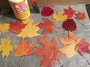 Preserve fall leaves - I've always wanted to capture and keep their color. I hope this method works! Preserve Fall Leaves, Craft Notebook, Leaves Art, Thanksgiving Wreath, Leaf Crafts, Autumn Crafts, Fall Projects, Theme Halloween, Thanksgiving Crafts