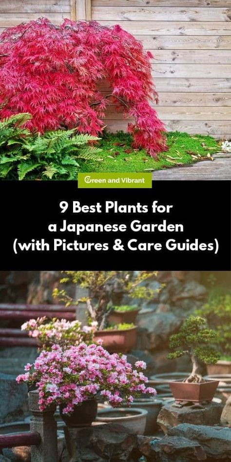 Japanese gardens are designed to focus on meditation, contemplation, and a calming atmosphere. They allow the user to draw inspiration from natural elements, such as water, stone, sand, and living plants. Small Japanese Garden Ideas, Zen Garden Plants, Japanese Garden Backyard, Japanese Garden Style, Japanese Garden Plants, Home Garden Ideas, Japanese Plants, Garden Patch, Small Japanese Garden