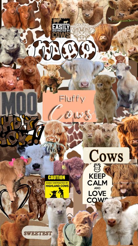 Cow Collage, Cow Cute, Pet Cows, Cute Iphone Wallpaper Tumblr, Cow Wallpaper, Cute Images For Wallpaper, Cute Backgrounds For Iphone, Cow Print Wallpaper, Cutee Animals