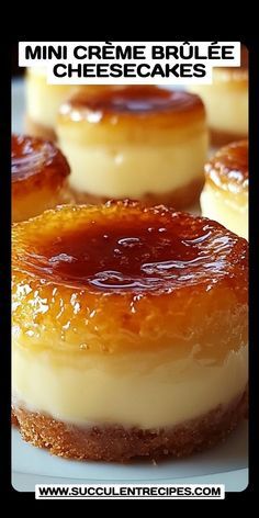 Individual Creme Brulee, Assorted Mini Cheesecakes, Cinnamon Creme Brulee, What To Make With Cheesecake Pudding, Fine Dining Desserts Recipes Pastry Chef, French Style Cheesecake Recipe, Cream Brulee Cheesecake Recipe, Mini Crème Brûlée Cheesecakes, How To Make Mini Cheesecakes