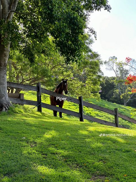 Emma Nielsen, Emma Neilsen, Cute Horse Riding Outfits, Aesthetic Farm, 11 February, Horse Riding Clothes, February 10, Cute Horses, Horse Barn