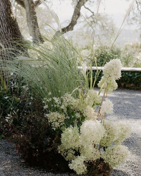 Grasses Wedding Flowers, Ceremony Meadow, Aisle Arrangements, Wedding Design Board, Wedding Stone, Aisle Flowers, Ceremony Design, Grass Wedding, Napa Wedding