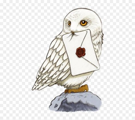 Harry Potter Iphone Icons, Harry Potter Owl Drawing, Fluffy Harry Potter, Wizard Fanart, Harry Potter Car, Imprimibles Harry Potter, Sticker Drawing, App Ikon, Harry Potter Art Drawings