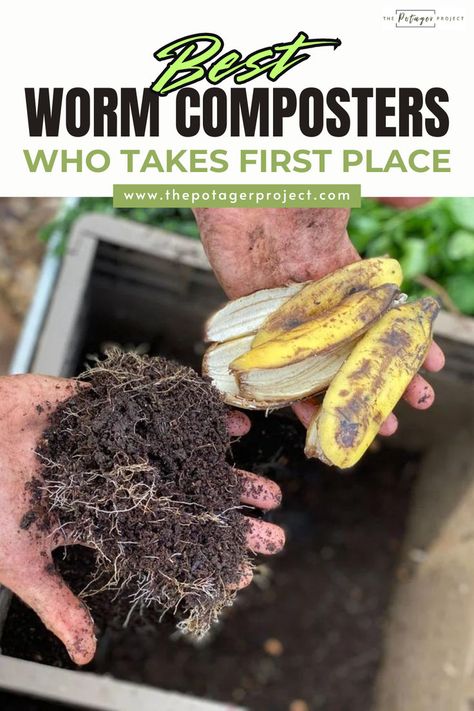 Hands holding freshly composted soil with visible roots in one hand and a bunch of overripe bananas in the other, with a compost bin in the background. Vermicomposting Worm Farm, Composting Bins, Worm Composting Bin, Composting Bin, Composters, Kitchen Scraps, Worm Composting, Worm Farm, Garden Compost