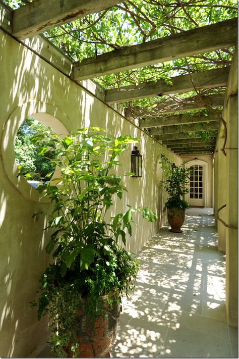 Ombra Pergola, Small Pergola, Side Yard Landscaping, Outdoor Walkway, Garden Vines, Small Courtyards, Backyard Pergola, Backyard Porch, Covered Pergola