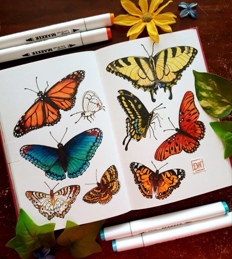 Copic Drawings Ideas, Alcohol Ink Marker Drawings, Butterfly Marker Drawing, Aesthetic Alcohol Marker Art, Alcohol Markers Illustration, Alcohol Pen Drawings, Alcohol Marker Sketchbook, Sketchbook Butterflies, Alcohol Marker Doodles