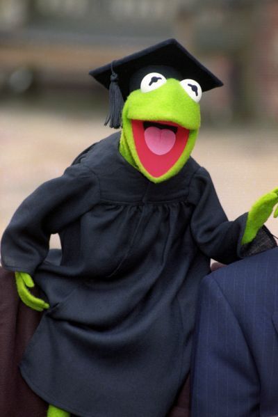 Kermit The Frog, Whatsapp Web, The Frog, Graduation Cap, More Fun, Computer