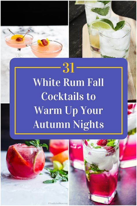 Collage of 4 white rum fall cocktails. Fall Rum Cocktails Easy, White Rum Drinks, White Rum Cocktails, Rum Cocktails Easy, Rum Punch Recipes, Get Ready For Fall, Fall White, Rum Cocktails, Rum Punch