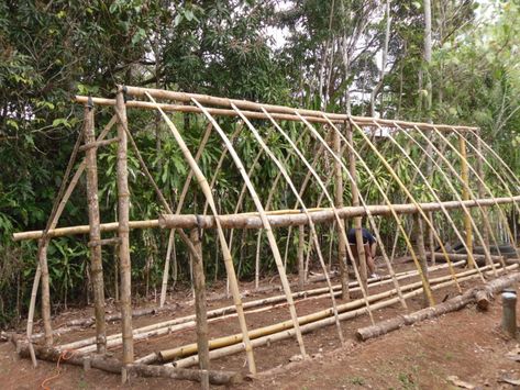 13 DIY High Tunnel Ideas to Build in Your Garden Bamboo Bridge Diy, Building With Bamboo, Bamboo Building Diy, Serre Diy, Bamboo Structure Architecture, Bamboo Dome Structure, Greenhouse Farming, Bamboo Building, Bamboo House Design