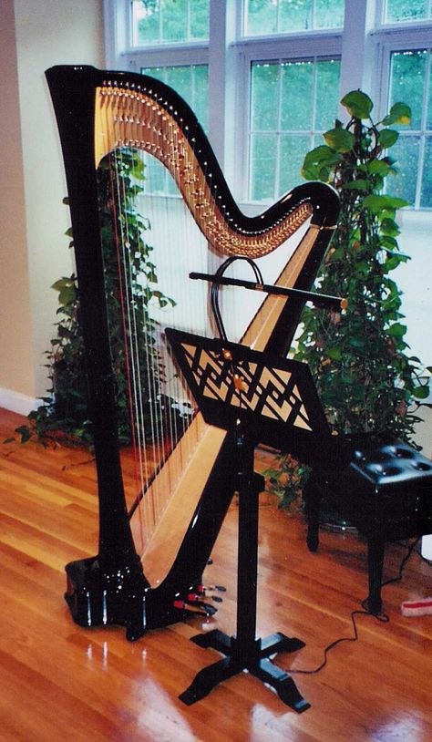 Black Instruments, Harp Instrument, Harp Music, Music Stands, Harps Music, Instruments Art, Music Stand, Fantasy Props, Book Stand