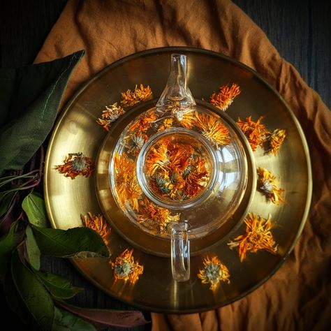 Calendula Tea, Tea Aesthetic, Sun Tea, Healing Tea, Calendula Flower, Camellia Sinensis, Magical Herbs, Herbal Infusion, Tea Tasting