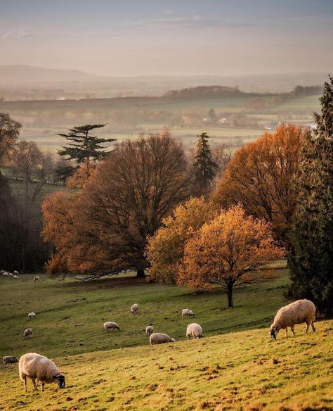 English countrysides (@englishcountrysides) • Instagram photos and videos English Countryside Aesthetic, Welsh Countryside, England Aesthetic, England Countryside, Countryside Landscape, Scenery Pictures, Landscape Photography Nature, Country Scenes, Autumn Landscape