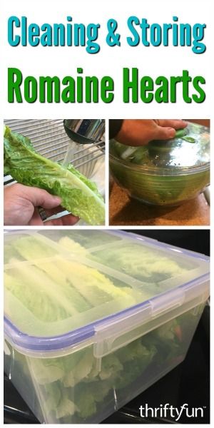 How To Prep Lettuce How To Store, Things To Do With Romaine Lettuce, How To Clean Romaine Lettuce, How To Wash Romaine Lettuce, How To Clean Lettuce, How To Keep Romaine Lettuce Fresh, Roman Lettuce Recipes, How To Keep Lettuce Fresh In Fridge, How To Store Lettuce