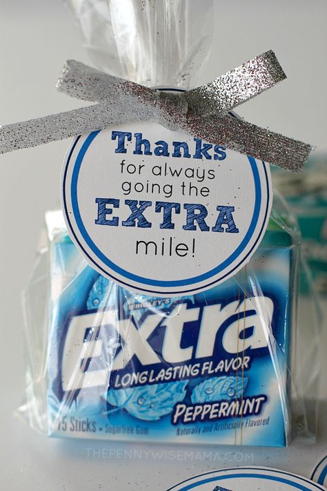 DIY Gift Idea with FREE printable gift tags - "Thanks for always going the EXTRA mile!" Makes a great teacher appreciation gift. Appreciation Gifts Diy, Volunteer Gifts, Pastors Appreciation, Volunteer Appreciation, Free Printable Gifts, Teachers Diy, Free Printable Gift Tags, Staff Gifts, Employee Appreciation Gifts